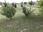 2017-09-01_07-30-41_974554BD-8B19-4DA5-8B85-B12F60D7236D.jpg