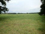 2012-09-15_23-43-51_TN-LC-15-1.JPG