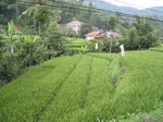 13864IMG_4142.JPG