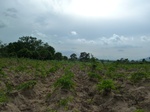18644P1000482.JPG