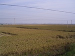 3236R0017270.JPG