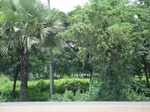 21296DSC00677.JPG
