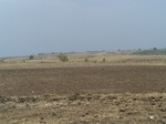 485002052008(45).JPG