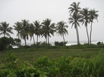 14139IMG_4474.JPG