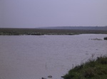 2882 047.jpg