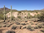 2018-04-20_13-52-44_DD556F76-E125-4C17-BC62-2E8B0BDBD4C8.jpg