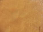 2012-09-21_14-26-51_CIMG3152.JPG