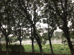 2017-09-10_20-51-00_06CAEF64-9B2E-48D1-985E-980EDB7844A4.jpg