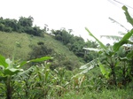14799IMG_5192.JPG