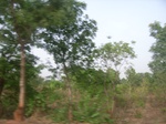 3813RIMG0117.JPG