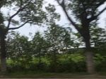 2017-09-12_14-17-21_7FFDA217-0A09-4A52-AC7D-D0262B554A42.jpg