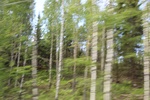 2018-04-14_13-37-18_2017-06-10 06.54.03.jpg