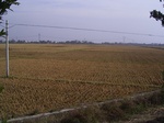 3177R0017211.JPG