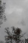 2020-10-25_12-55-51_2020-10-25-10-10-56.jpg