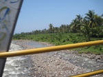 13996IMG_4313.JPG