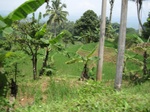 15235IMG_4057.JPG