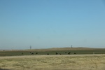 2017-05-11_16-40-16_2017-03-19 14.11.42.jpg