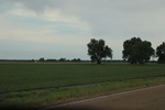 2022-06-11_18-08-24_77EAB8A3-E171-449A-98F5-CA2F4649EB73.jpeg
