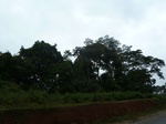 19955P1010805.JPG