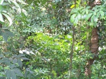 542210052008(30).JPG