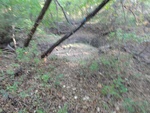 2012-09-24_10-40-16_DSC03088.JPG