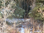 40422CIMG0322.JPG