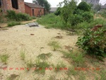 39031CIMG1649.gps.jpg