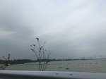 2017-09-10_20-50-47_5F1E4BBF-E535-437C-95ED-C8AEF59212DF.jpg