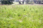 2012-09-21_22-05-17_IN-DB-4-3.jpeg