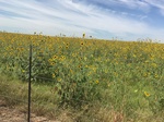 2019-10-18_15-04-20_4977D4BC-6D52-4CE9-B03E-50B0078A5F6E.jpg