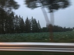 2017-09-12_03-29-55_99212810-D88C-4505-B989-DF283D5CDC80.jpg