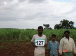 124660127a-irrigated-supplemental-groundwater-maize-dominant-sugarcane-sorghum-banana.gif
