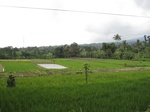 14839IMG_5232.JPG
