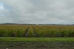 2021-02-02_12-04-30_DSC_0053.JPG