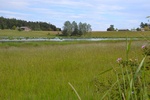 2017-06-05_14-16-44_SE1.jpg
