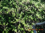 2012-09-27_14-25-50_191.JPG