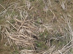 8497IMG_0322.JPG