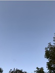 2020-10-02_07-39-30_5091FE47-C3FA-49E5-9B9A-FC9452351659.jpeg