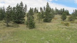 2012-09-25_16-18-45_MtAlto_north.JPG