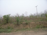 3895RIMG0199.JPG