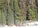 40423CIMG0324.JPG