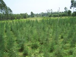 17568100_2504.JPG