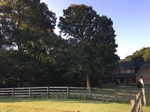 2017-09-03_15-22-59_F20F4D3C-F0D9-4F17-9F03-8FB633B1B834.jpg