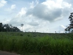 20176P1020028.JPG