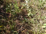 2012-08-28_20-34-49_P1010128.jpg
