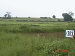 130870303c-rainfed-agriculture-rice.gif