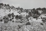 2022-01-19_13-38-46_4E8A1330.JPG
