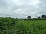 18291P1000127.JPG