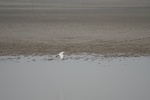 4151IMG_8788.JPG