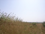 9042RIMG0120.JPG